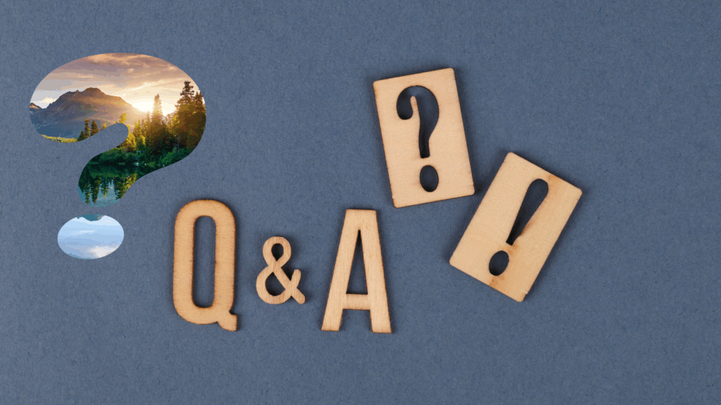 Q&A